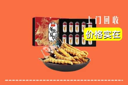 德化县回收冬虫夏草